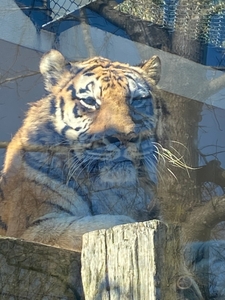 gi1JYXqUKVPHbr0jb6nM.jpg?w=940&h=940