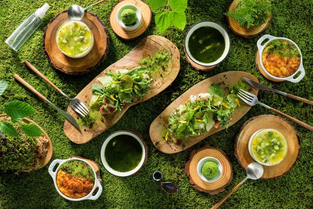 【奥入瀬渓流ホテル】苔10周年記念! 朝から晩まで苔三昧の宿泊プラン「おいらせ苔旅」提供 | 予約開始日:2023年6月13日/期間:2023年6月24日〜2024年6月19日