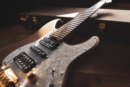 秩父産樹齢100年以上の杉を使用したエレキギター　 第75回 全国植樹祭にて展示｜受注受付中　 Production by　SCHECTER GUITAR RESEARCH