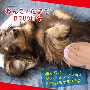 gj2GMg9XatkQlN7cVCvd.jpg?w=940&h=940