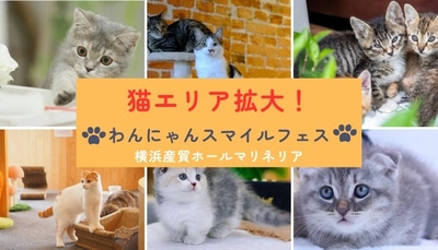 猫エリア拡大イメージ