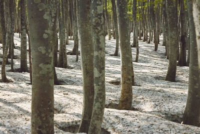 gkrioFpRiIp3RzCyvMf0.jpg?w=940&h=940