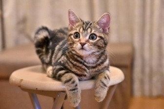 gmCZiWzH1hGcewtXXIDU.jpg?w=940&h=940