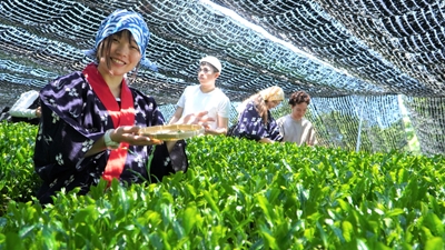 gq0nYXc3fWHME1AbZeH3.jpg?w=940&h=940