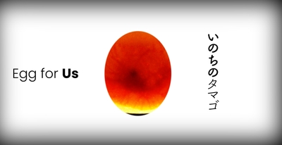 ヒヨコが誕生するまでの成長記録を投影