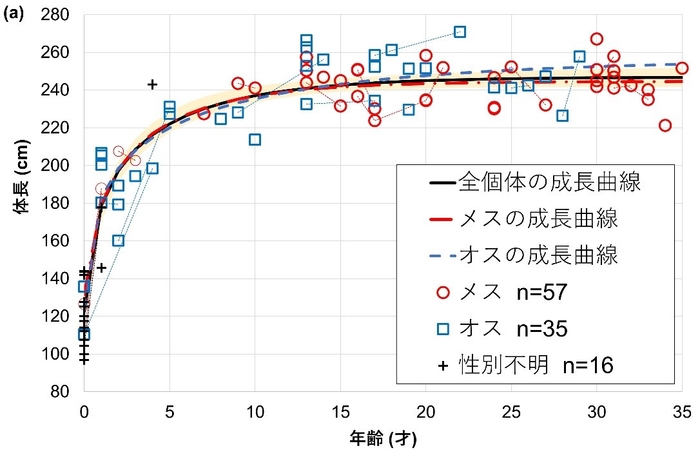 図3.御蔵島のミナミハンドウイルカの成長曲線(横軸が年齢(才)、縦軸が体長(cm))