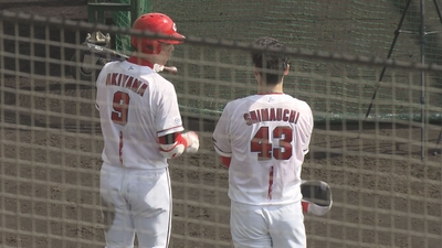 gsy87KqHYmvL7A09JG4h.jpg?w=940&h=940