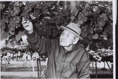 gtflbcMHO1CFPvI6VFGk.jpeg?w=940&h=940