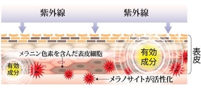 guDe23ujk3IZPoteOg5f.jpg?w=940&h=940