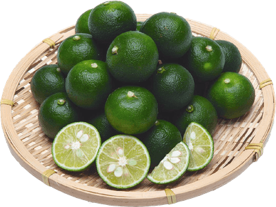 guSBXfKmPyKxXflPJBdp.png?w=940&h=940