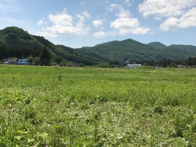 gvL6InLic3CdMJsTml2e.jpg?w=940&h=940