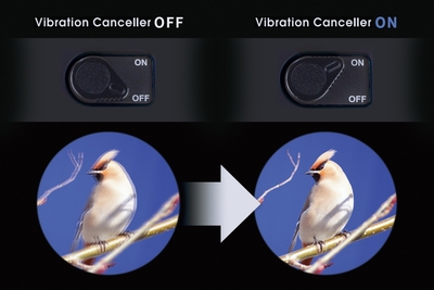 gwJHRCdVGiQ8QUtJHjoU.jpg?w=940&h=940