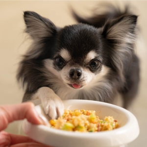 gxaApVuLAHlWbjAJS9QH.jpg?w=940&h=940