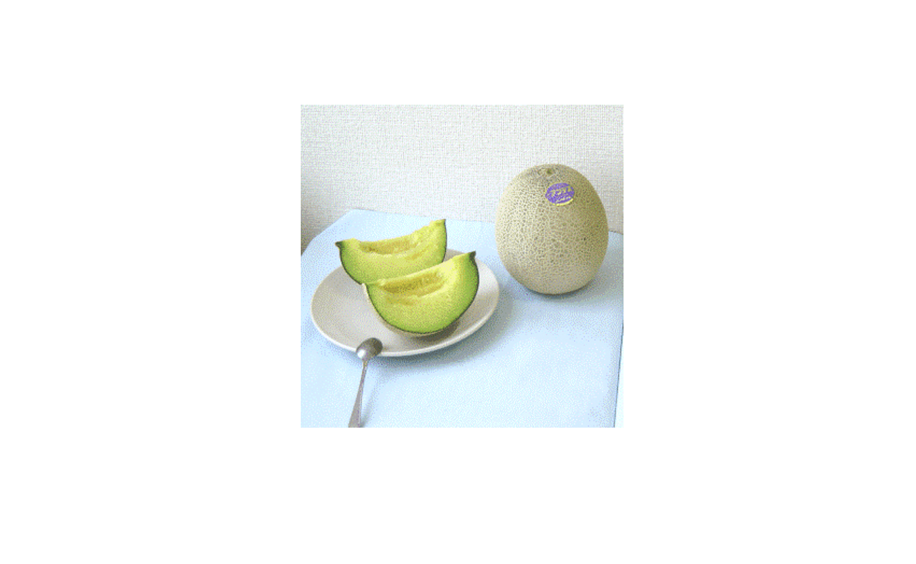 山形県産アンデスメロン