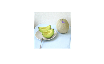 山形県産アンデスメロン