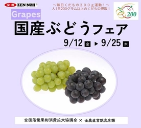  ぎゅっと詰まった果実の宝石 全国の旬のぶどうを食べ比べ 全農直営飲食店舗で「国産ぶどうフェア」を ９月１２日（金）～９月２５日（木）に開催