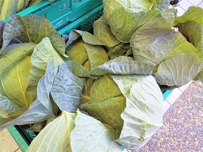 gysERodtCAikP1rlCgX2.jpg?w=940&h=940