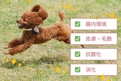 gzmYlBqH61s7U3jgkrsi.jpg?w=940&h=940