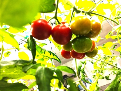 gzs0GI9em52eOJK1jiXo.jpg?w=940&h=940