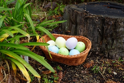 h4Pu1OqICKZDvLArJsVu.jpg?w=940&h=940