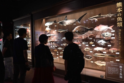 h4yY5zphZ6Tjpe0iQrDg.jpeg?w=940&h=940