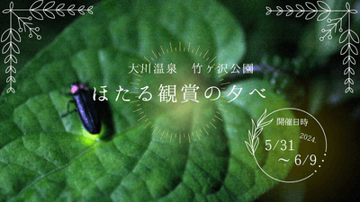 h5fGVAPx6loTGrX8ZNq6.png?w=940&h=940