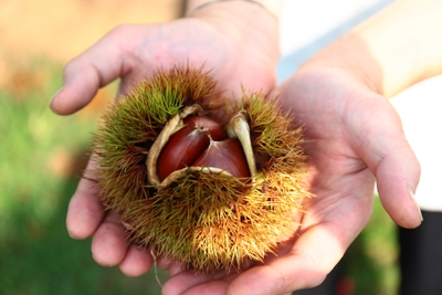 h6AvD2bk49dohE12ChYT.jpg?w=940&h=940