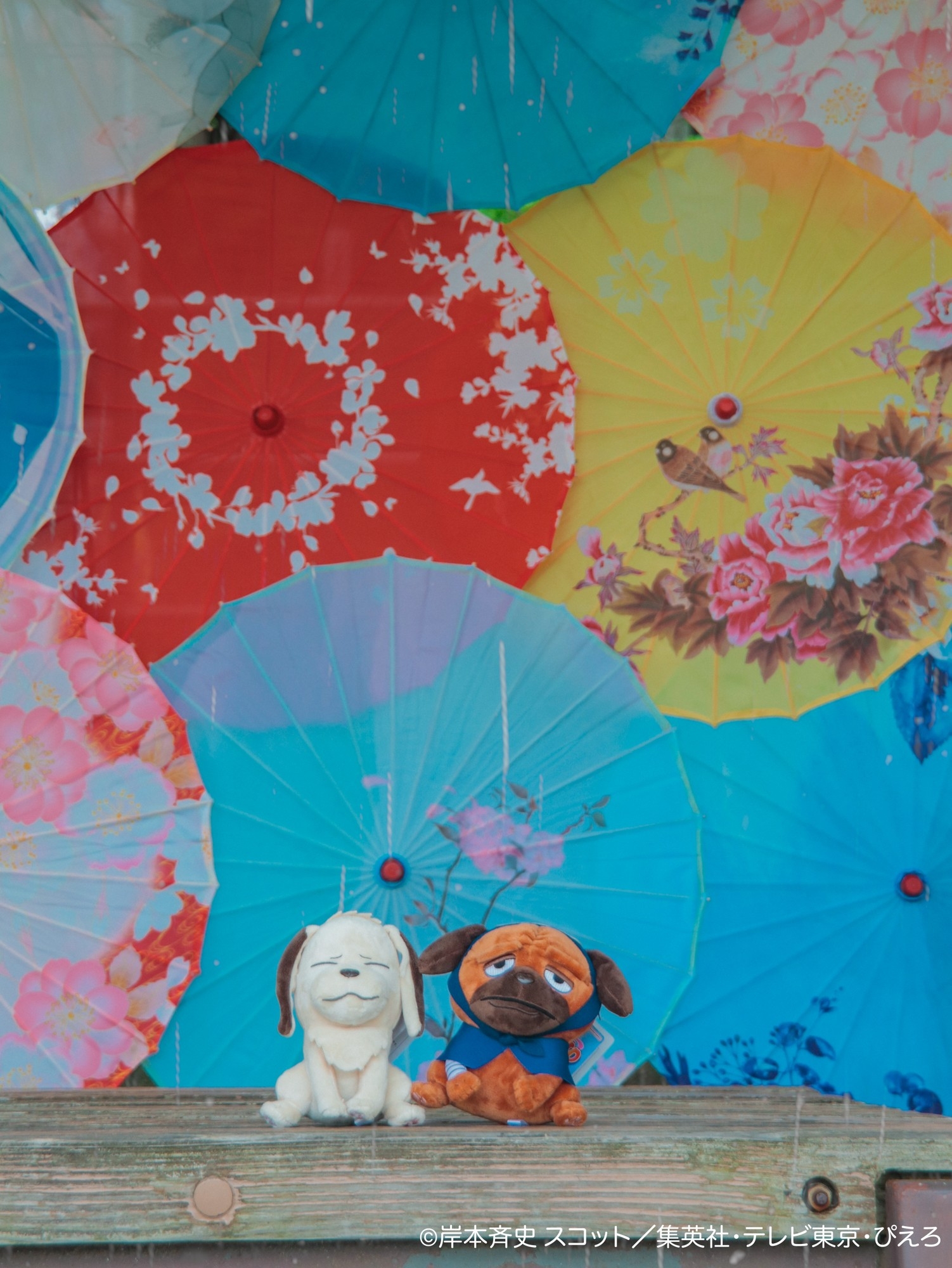 雨が滴る五月雨（さみだれ）の中、忍の世界に映る“あなた”を切り取って
「NARUTO＆BORUTO 忍里　五月雨祭2026」
イベント情報第２弾