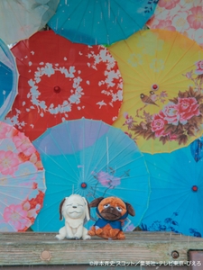 h6urwyXIZymVFIT9wBR7.jpeg?w=940&h=940