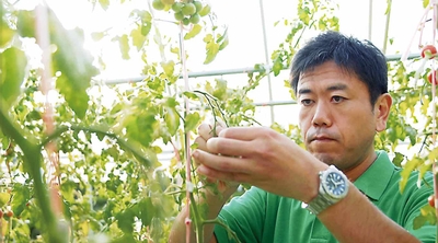 h7IfxHUNDM6WXCcSSgK2.jpg?w=940&h=940