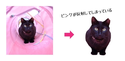 h7ppwTpYO0W1iED88UmO.jpeg?w=940&h=940