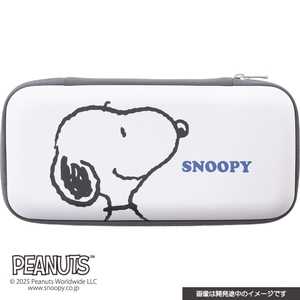 《フェイス》表面