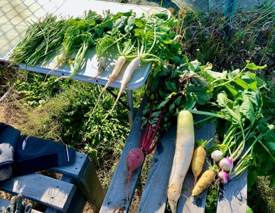 h8OInNjNr4B244FakoZI.jpg?w=940&h=940