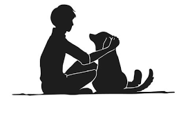 h9r997lO6nVG14ysC0bx.png?w=940&h=940