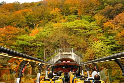 hAVAuZF8RKXQ1PDYaQkU.jpg?w=940&h=940