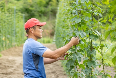 hAlxS79SymX5AlaJXiuT.jpg?w=940&h=940