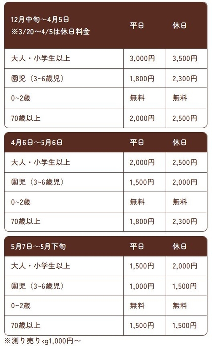 【the BERRY YOKOHAMA】2025-2026年シーズンいちご狩り料金表