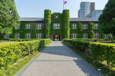 hBTDcAoayqIo6cSxnMis.jpg?w=940&h=940