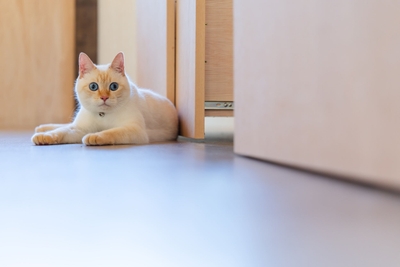 hBx5pqD4JN2L6gdfxkgE.jpg?w=940&h=940