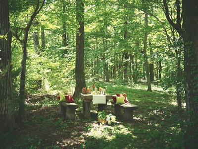 hCkGNtPexmxuwlqOs33E.jpg?w=940&h=940