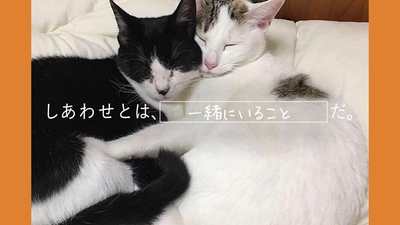 hCyW7q0OnPyGA9nZwL8R.jpg?w=940&h=940