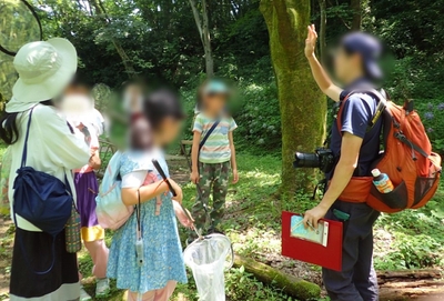 hDp2CMimkt1EGGmEYONX.jpg?w=940&h=940