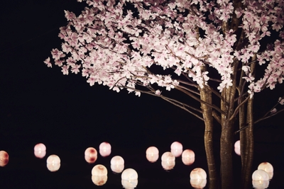 hEHzbtxO3IBz4cv4eXn6.jpg?w=940&h=940