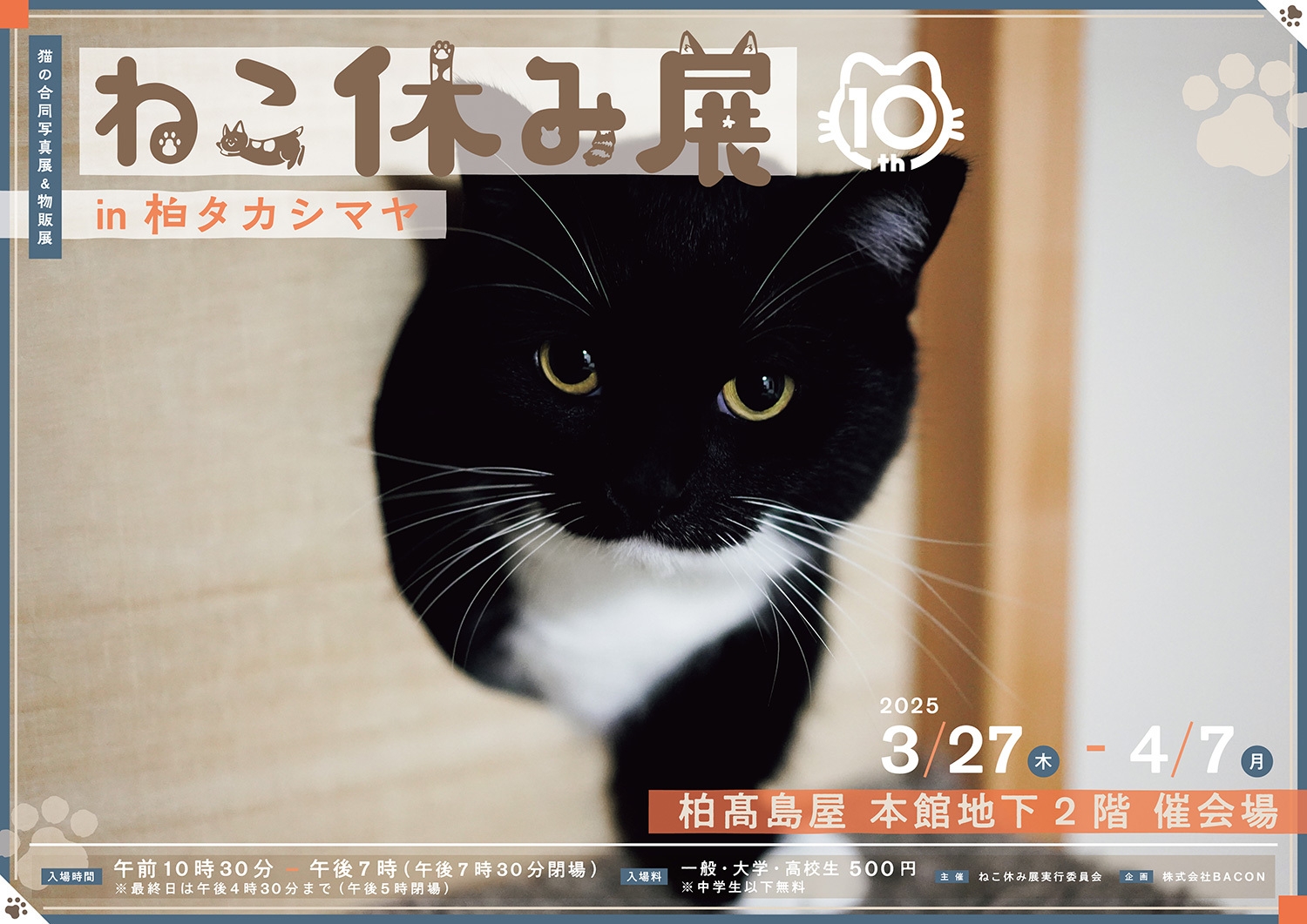 キービジュアル(横)