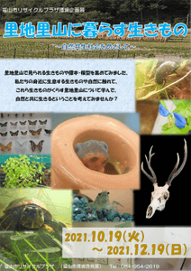 hEivcL3zqZwIxk7DDbEA.png?w=940&h=940