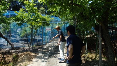 hFplsCmfJRoc9Vtv5aiX.jpg?w=940&h=940