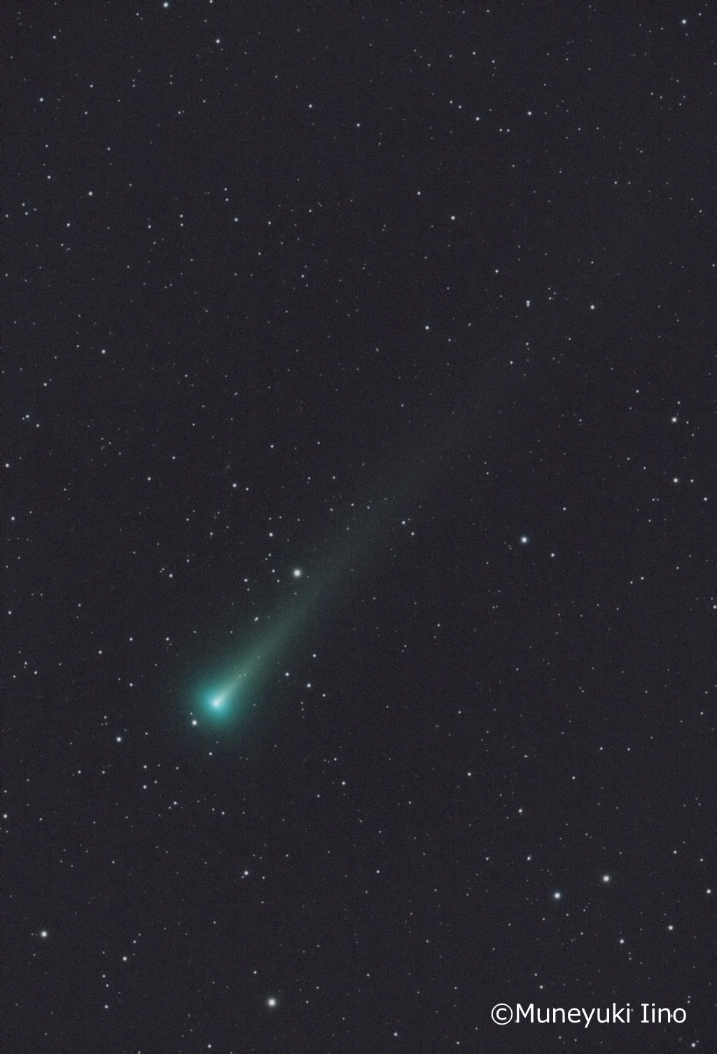 今見ごろのほうき星「レナ―ド彗星」を観察・撮影しよう! ~おすすめ光学機器をご紹介~