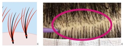 hH9rMceFZrWBadzsGACE.jpg?w=940&h=940