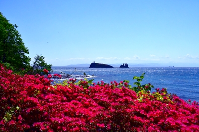 hHjl39vH6NZmtkqILsZq.jpg?w=940&h=940