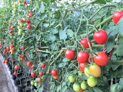 hJEPHnGcB58LUuCU23oK.jpg?w=940&h=940